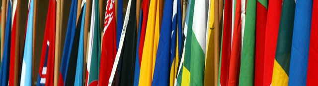 Homepage flags